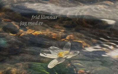 Frid lämnar jag med er